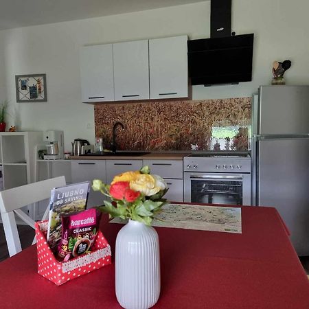 Apartmaji Ribic Ljubno Kültér fotó