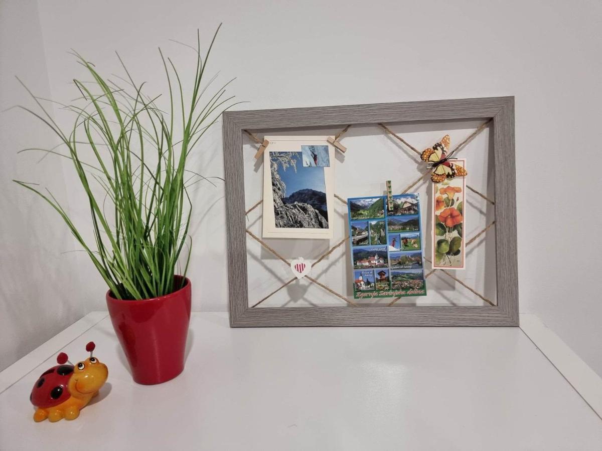 Apartmaji Ribic Ljubno Kültér fotó